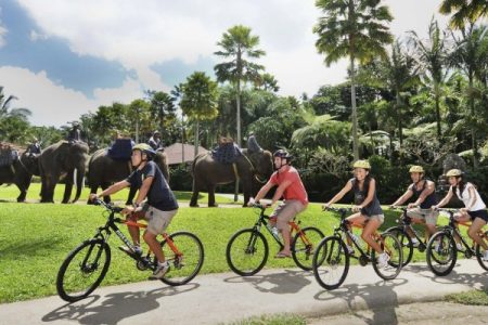 Afternoon Mountain Cycling + Safari Under the Stars