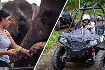 Elephant Safari Park Visit + Jungle Buggies (Morning)